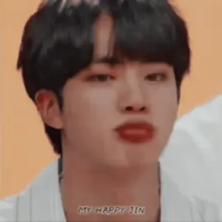 🌺 14ddfadc Jin MY HAPPY JIN kpop, jin, bts, felice, cantante telegram sticker