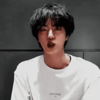 🌺 16fe162c Jin kpop, cantante, ritratto, maschio, selfie, idol telegram sticker