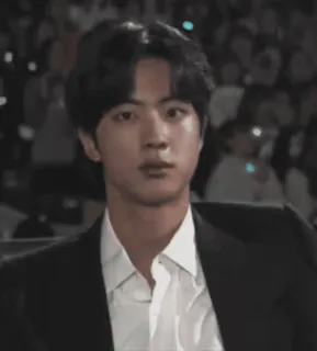 🌺 47265fbd Jin kpop, cantante, ritratto, uomo, idolo telegram sticker