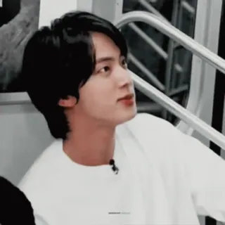 🌺 9c673542 Jin K-Pop, cantante, musica, BTS, idol telegram sticker