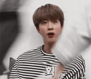 🌺 d8694903 회 kpop, intrattenimento, asiatico, persona, uomo, maschio telegram sticker