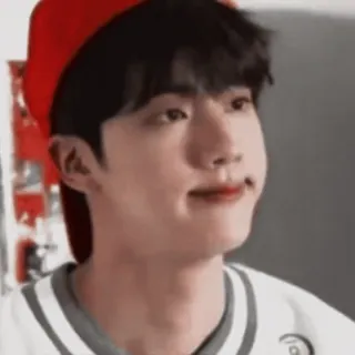 🌺 db481415 Jin kpop, jin, bts, cantante, idol telegram sticker