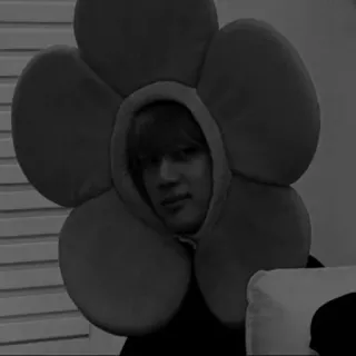 ✖️ 628aa771 kwiat, osoba, portret, bluza z kapturem, czarno-białe telegram sticker