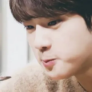 🐹 173d7d98 telegram sticker