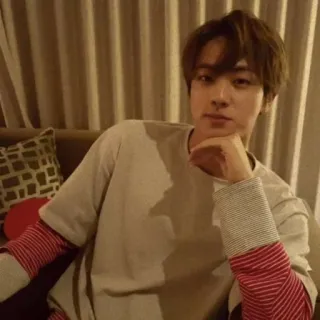 🐹 205f0f06 Jin Jin, BTS, K-pop, singer, celebrity, South Korean telegram sticker