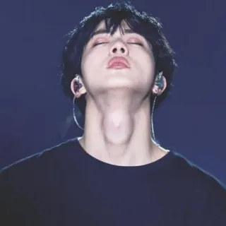 🐹 36a0d08e telegram sticker