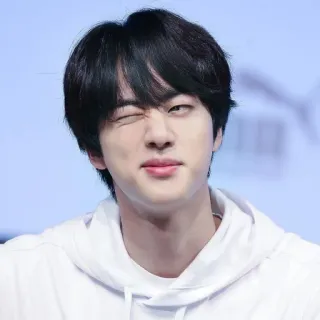 🐹 6ee2a48a Jin kpop, idol, singer, music, celebrity, artist telegram sticker