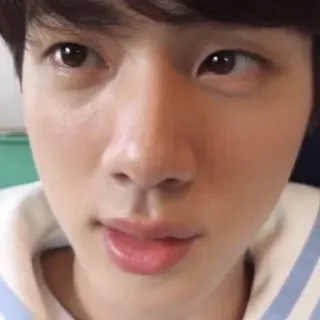 🐹 844605a8 telegram sticker