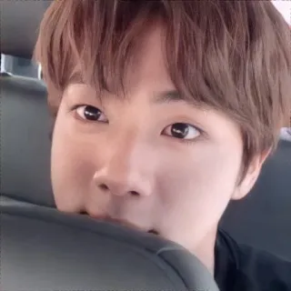 🐹 b84a0d0c person, portrait, asian, korean, man, selfie, indoors telegram sticker