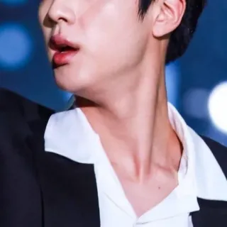 🐹 d13018a8 telegram sticker