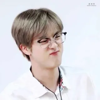 🐹 e94b4c69 portrait, man, glasses, funny face, asian, person, male telegram sticker