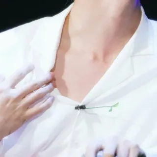 🐹 f02dc9b9 clothing, shirt, white shirt, fashion, style telegram sticker