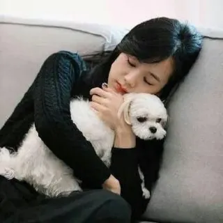 🦄 192ce40a 狗, 女人, 睡觉, 可爱, 宠物, 放松, 拥抱, 马尔济斯 telegram sticker