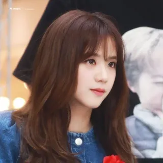 🦄 1e6adda1 Jisoo Jisoo, Blackpink, K-pop, 歌手, 名人 telegram sticker