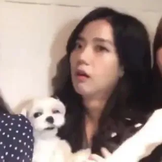 😭 020a1442 person, woman, dog, white dog, cute, female telegram sticker