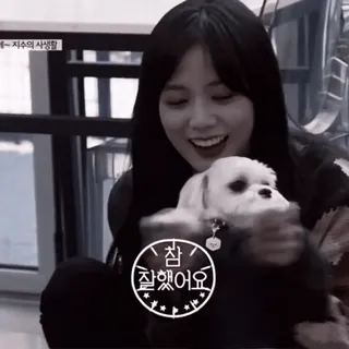 😸 8dfc5f30 참 잘했어요 Hund, Koreanisch, Sterne, süß, Haustier telegram sticker