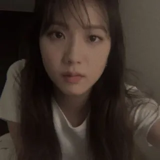 🦅 711d90e3 telegram sticker