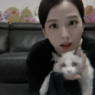 🦅 7b0205d6 donna, gatto, animale domestico, selfie, interno telegram sticker