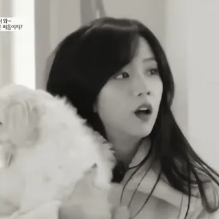 🎻 ef913f58 telegram sticker