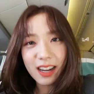 🛎 401dfbc5 telegram sticker