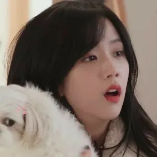 🛎 d8ca3f9a telegram sticker