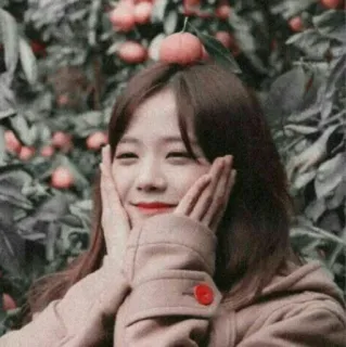 ☺️ 450d56d6 pessoa, mulher, sorrindo, fofa, asiática, fruta, ar livre, natureza telegram sticker