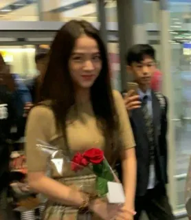 🤓 d09f4e04 pessoa, mulher, asiática, rosa, flores, sorriso, aeroporto telegram sticker