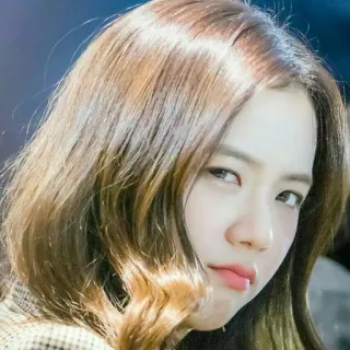 ☁️ 9e2bac95 mulher, retrato, pessoa, beleza, rosto, feminino telegram sticker