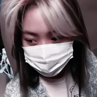 🦩 72001b97 telegram sticker