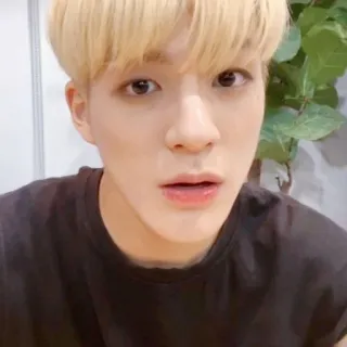 🤟 04665f7b man, portrait, blond hair, selfie, kpop, male whatsapp sticker