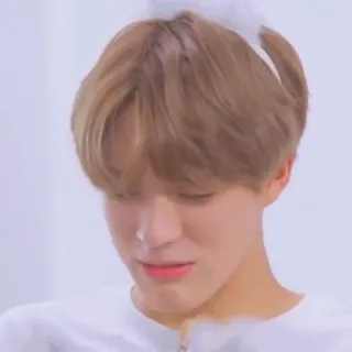 🤟 2edec8fe whatsapp sticker