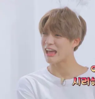 🤟 baf2ea90 싫어 kpop, person, face, asian, male, 싫어, dislike whatsapp sticker