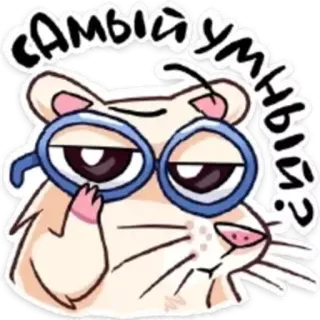 🧠 876d151c САМЫЙ умный? hamster, lunettes, intelligent, drôle, mignon, dessin animé telegram sticker
