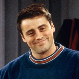 😊 7395b83e Joey Tribbiani Friends przyjaciele, joey, joey tribbiani, serial tv, sitcom telegram sticker