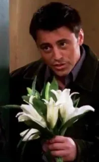 🌹 c6f4756e Joey Tribbiani Friends Joey, Przyjaciele, kwiaty, Matt LeBlanc, sitcom, lata 90. telegram sticker