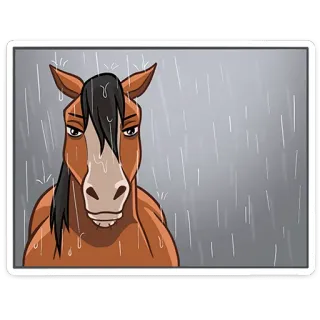 ⭐ f3ac260e cheval, animal, pluie, triste, contrarié, météo whatsapp sticker