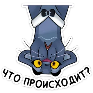 😳 e273120f ЧТО ПРОИСХОДИТ? 猫, 贴纸, 问题, 俄语, 倒过来 telegram sticker