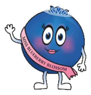 Blueberry lol❤ whatsapp stickers