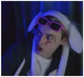 😱 07838c23 người, kính râm, tai thỏ, mũ, thiếu niên, chân dung telegram sticker