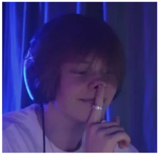 🐷 3c0d9d56 người, ngón tay, suỵt, cử chỉ, tai nghe, nhẫn, chân dung telegram sticker