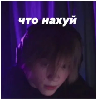 😵‍💫 6c6b1317 что нахуй Nga, meme, tiếng lóng, diễn đạt, internet, giới trẻ telegram sticker