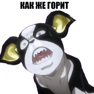 👹 a5e02180 Iggy JoJo's Bizarre Adventure 狗, 动漫, 卡通, 生气, 威胁 whatsapp sticker