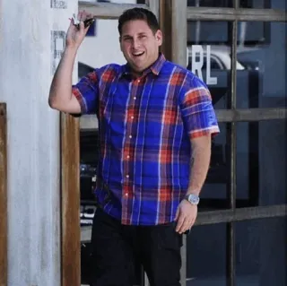 💡 fcf347b1 hombre, Jonah Hill, camisa de cuadros, saludando, actor telegram sticker