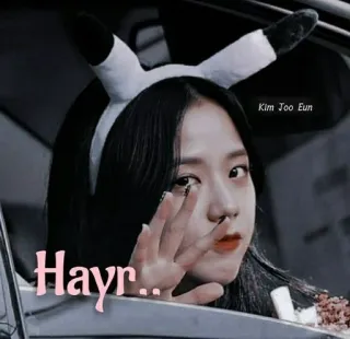 😌 28200ae5 Hayr... 人, 女性, 車, かわいい, うさ耳, ヘアバンド, 笑顔 telegram sticker