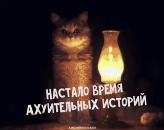 🌟 06f90efb НАСТАЛО ВРЕМЯ АХУИТЕЛЬНЫХ ИСТОРИЙ Katze, Lampe, Russisch, Beleidigend, Humor, Geschichtenzeit whatsapp sticker