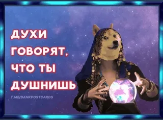 🌟 89a6d6f9 ДУХИ ГОВОРЯТ, ЧТО ТЫ ДУШНИШЬ doge, Wahrsagerei, Memes, Humor, Russisch, Geister, Hund, Kristallkugel whatsapp sticker