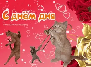 🌟 9517c3f4 С Днём Дня Katzen, Musik, Trompete, lustig, Humor, Alles Gute zum Geburtstag whatsapp sticker