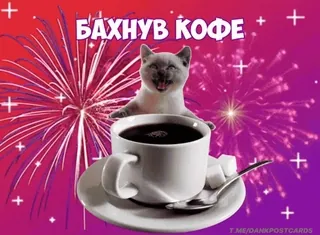🌟 9f75e817 БАХНУВ КОФЕ kaffee, katze, meme, lustig, getränk, feuerwerk whatsapp sticker