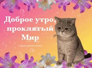 @emojis4 telegram stickers