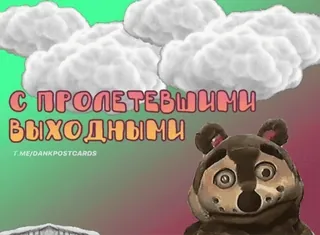 🌟 ab76c145 С ПРОЛЕТЕВШИМИ ВЫХОДНЫМИ Gruß, russisch, Tier, Wolken whatsapp sticker